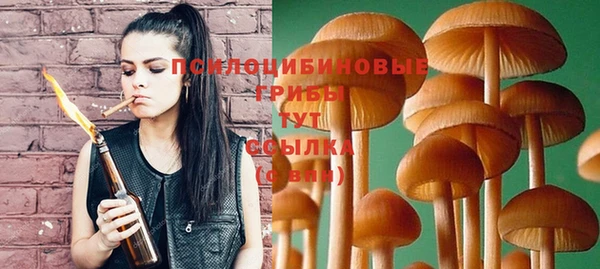 соль ск Балабаново