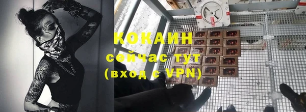 дживик Балахна