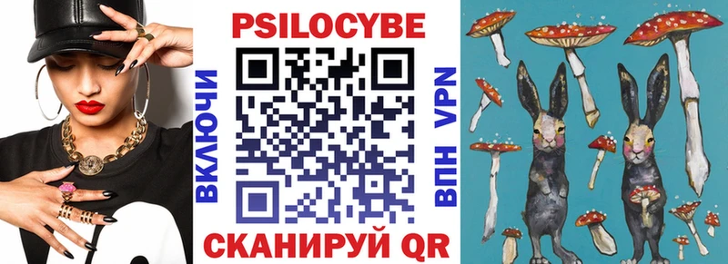 Псилоцибиновые грибы мицелий  Новочеркасск 