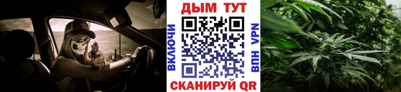 Конопля сатива Новочеркасск